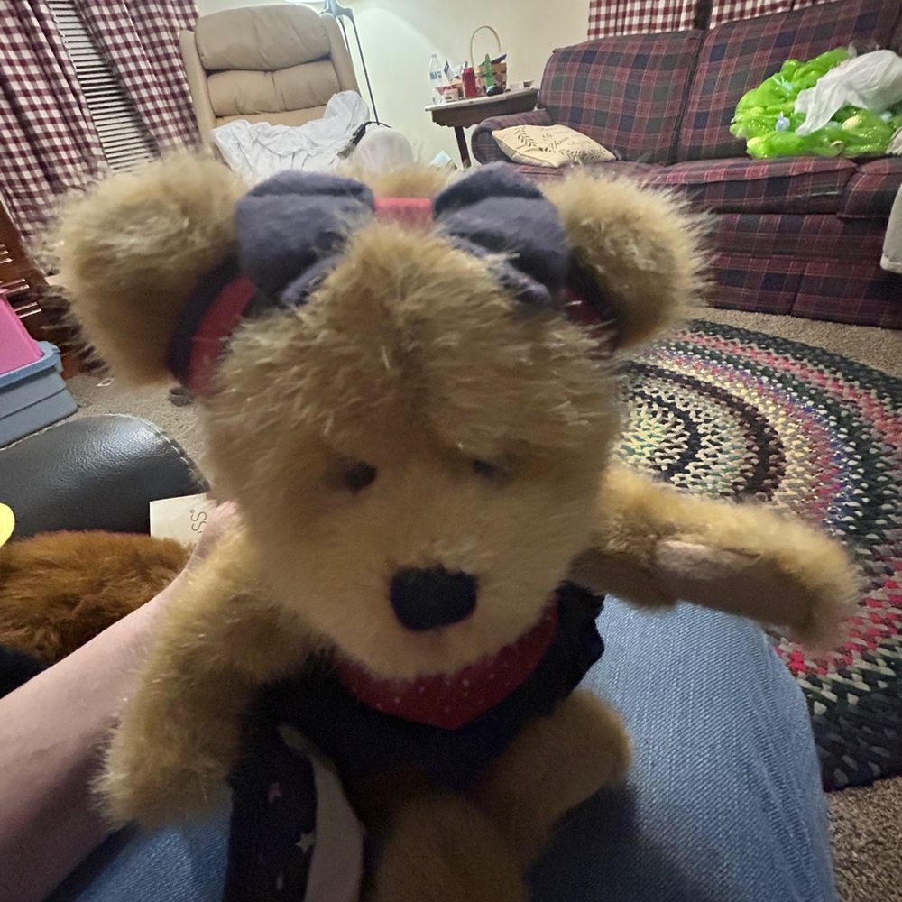 Vintage Teddy Bear Lot – Russ, Boyds & Plushland (6 Total) - Picture 5 of 10